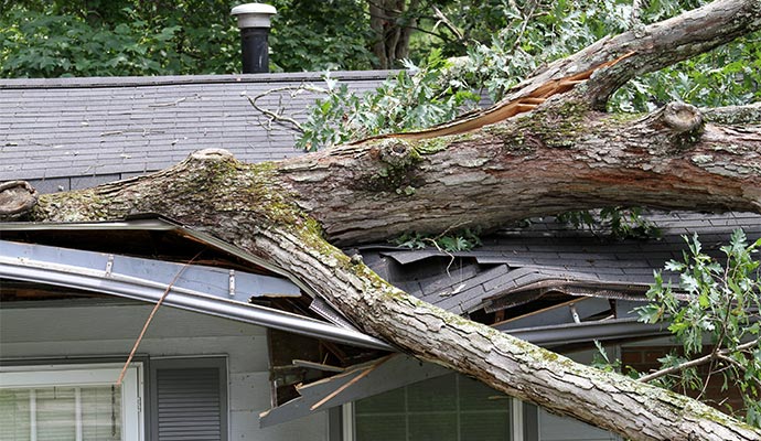 Storm damaged property