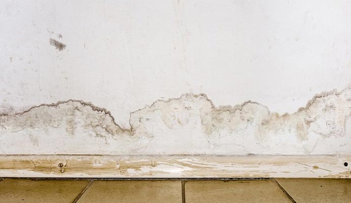 Structural water damaged wall